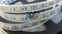 Led Dây 5050 Xanh Dương PN (10CM)